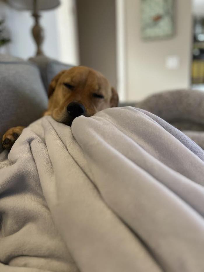 Paxton sharing snuggles after a busy week