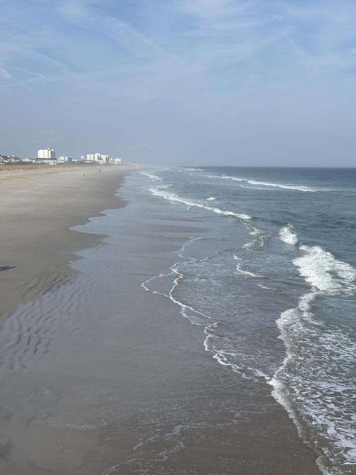 Carol's day trip to the beach